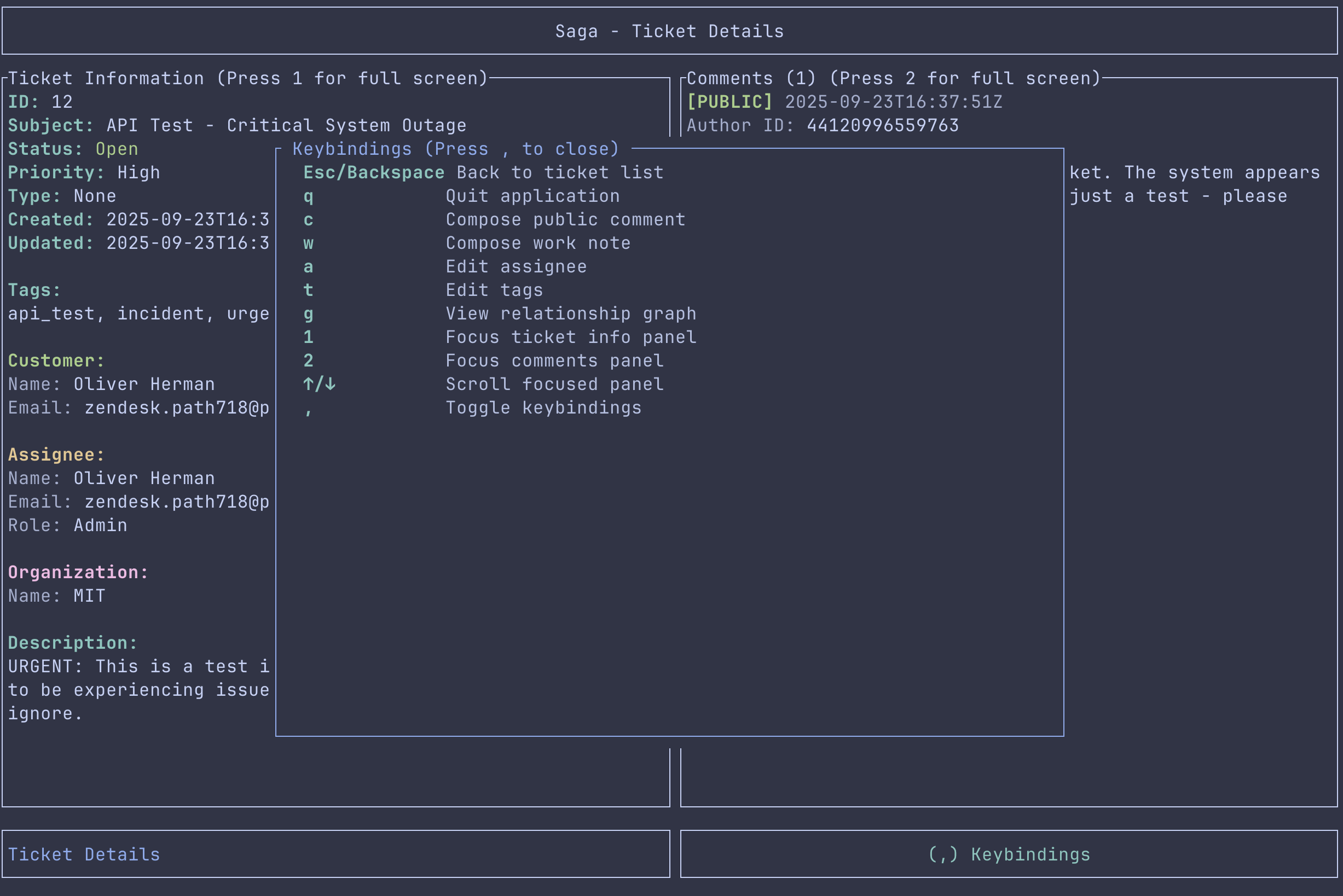 Individual ticket view (alternate)